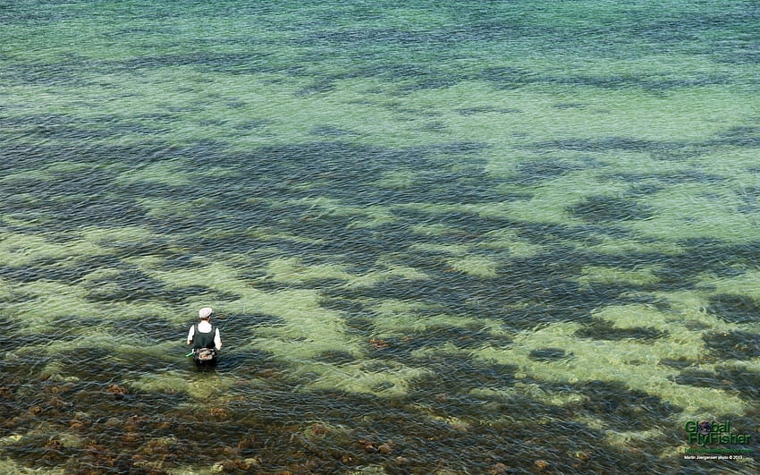 Łowienie pstrągów morskich Tapeta HD