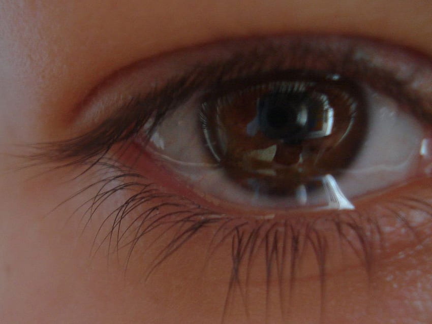 Crying - Eyes With Tears,, Sad Eyes HD wallpaper
