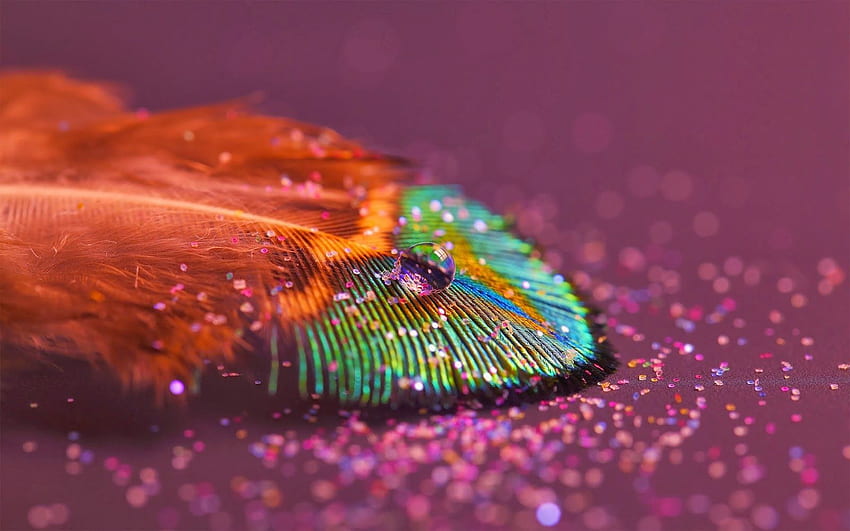 peacock feather 3D design for backgrou. Feather , Macro graphy , Beautiful macro graphy, Mor Pankh HD wallpaper
