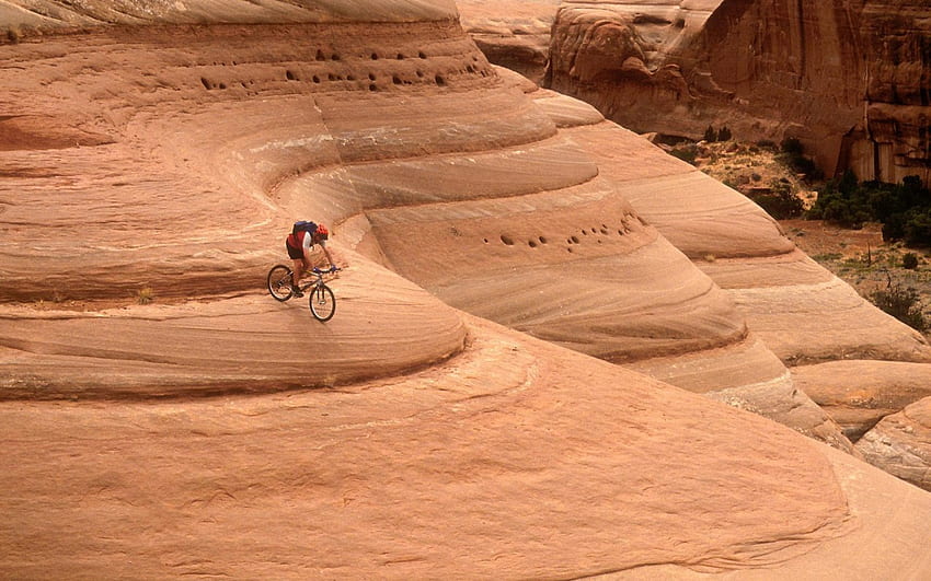 bikes for bikers, biking, sports HD wallpaper