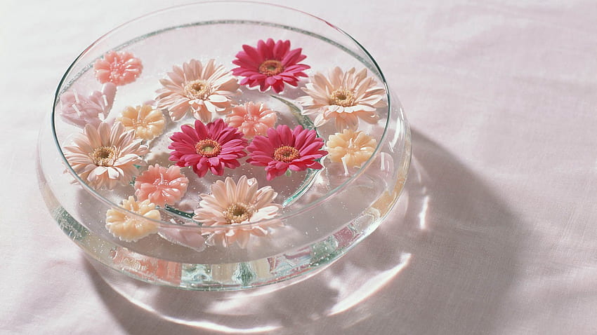 Flowers, Bright, , , Glass, Bath HD wallpaper | Pxfuel