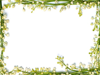 Real Floral Frame Background For PowerPoint Flower PPT. Background HD  wallpaper | Pxfuel
