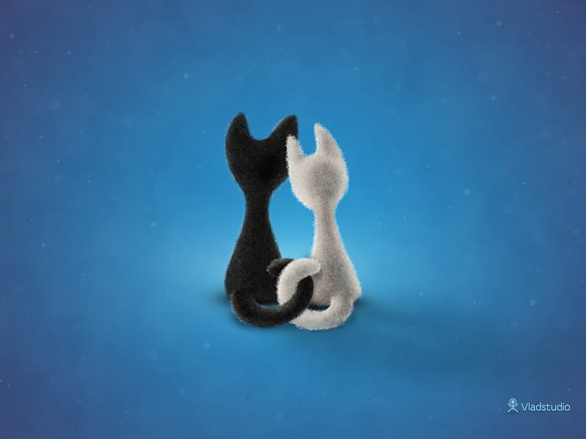 Czarny kot, biały kot, niebieski, kotek, biały, czarny, abstrakcyjny, kot Tapeta HD