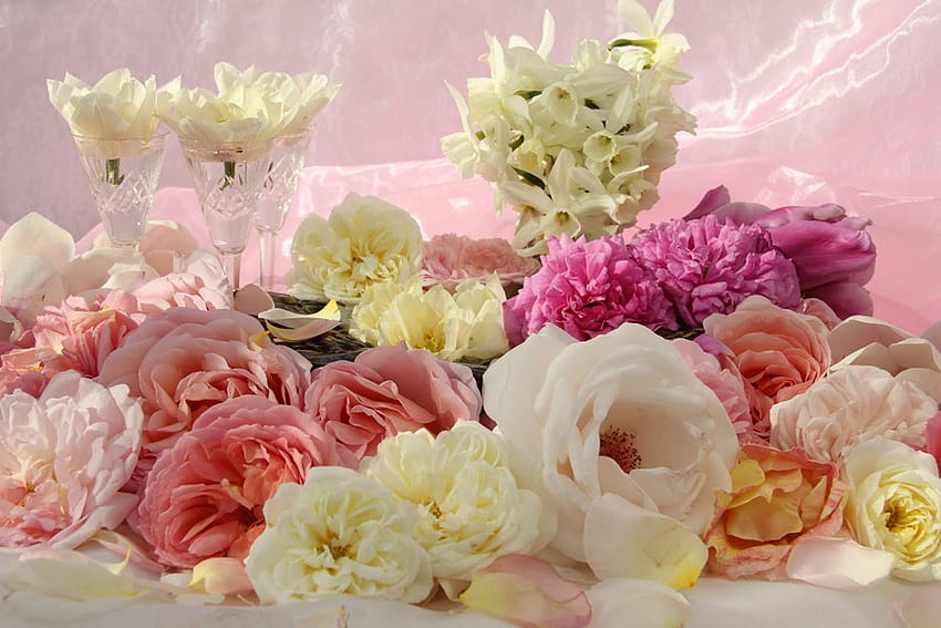 Dilo con Flores, rosa, blanco, rosas, durazno, pétalos, vasos, hermoso, narciso fondo de pantalla