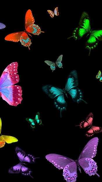 Page 3 | butterfly with black background HD wallpapers | Pxfuel
