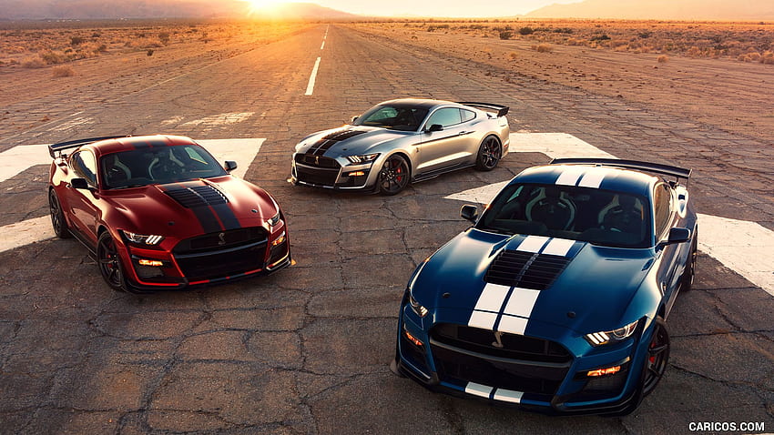 Ford Mustang Shelby Gt500, Ford Gt 500 HD тапет