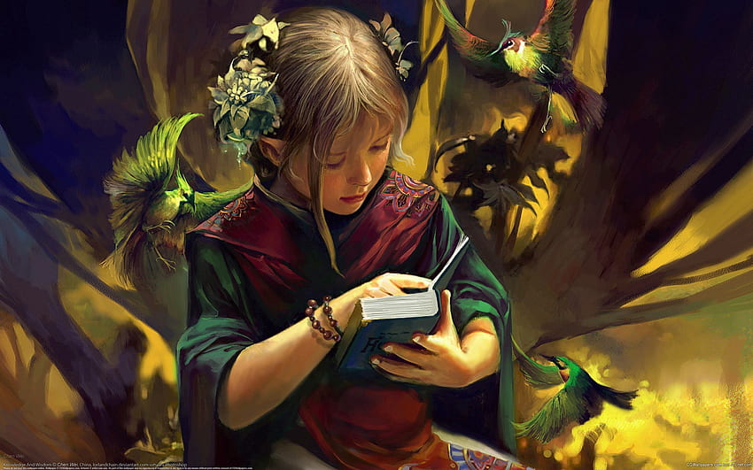 Uccelli, fantasia, ragazza, libro, elfo Sfondo HD