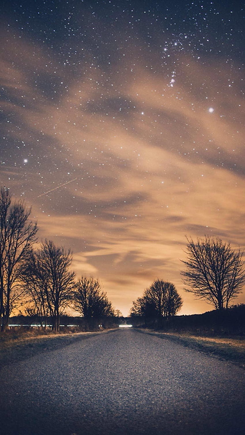 Nature Night Shiny Road Endless Tree Roadside HD phone wallpaper ...
