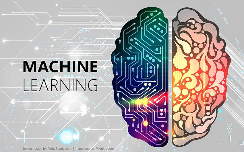 Machine Learning, Types of Machine Learning HD wallpaper