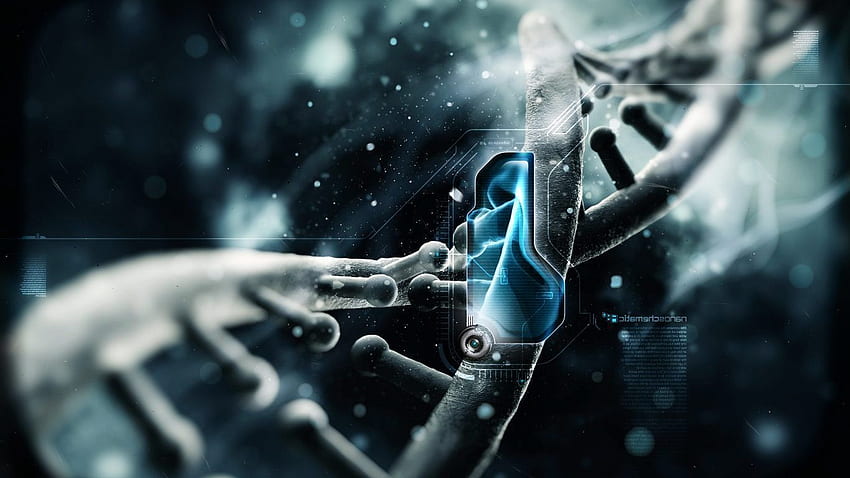 DNA, Chromosom HD-Hintergrundbild