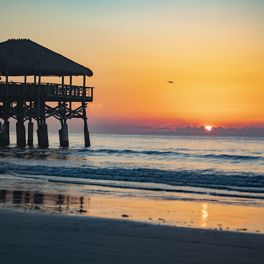Your Favorite Westgate Cocoa Beach HERE! HD phone wallpaper