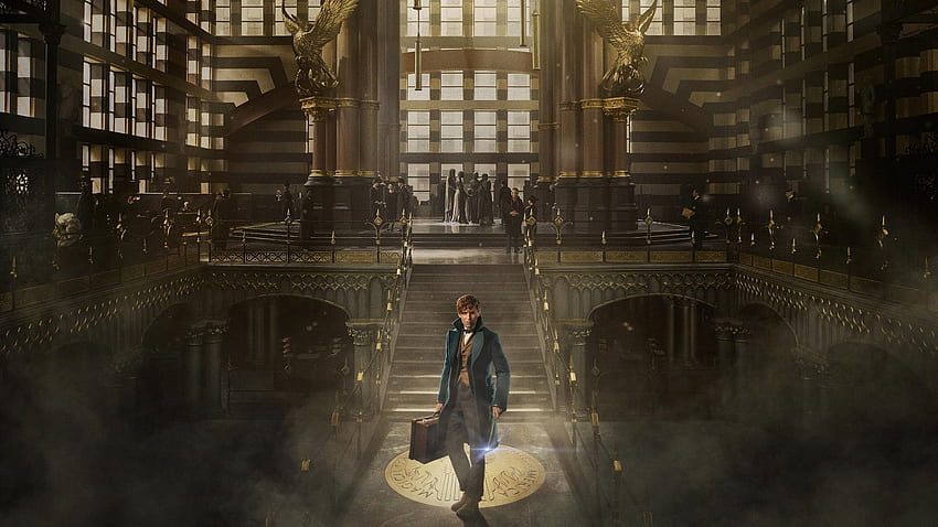 Fantastic Beasts And Where To Find Them, Eddie Redmayne HD wallpaper