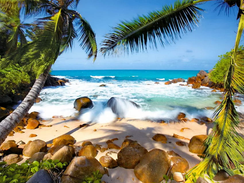 Paradiso tropicale, tropicale, relax, bello, spiaggia, sabbia, orizzonti, acqua, oceano, palme, palme, mare, tropici, esotico, paradiso, bello, pietre, riposo, natura, bello Sfondo HD
