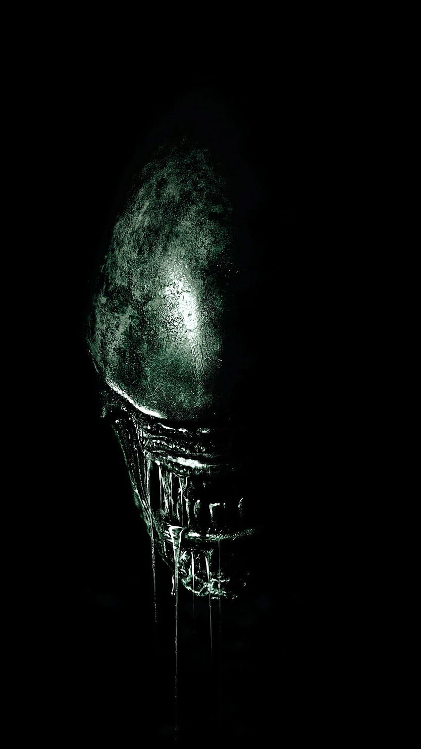 Alien Xenomorph Metal Print от DisplayArTZoNe. Произведения на изкуството на извънземни, филмово изкуство на извънземните, извънземно на Гигер HD тапет за телефон