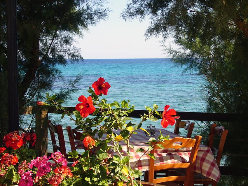 tavern, sea, chalkidiki, greece, view, nature, flowers HD wallpaper