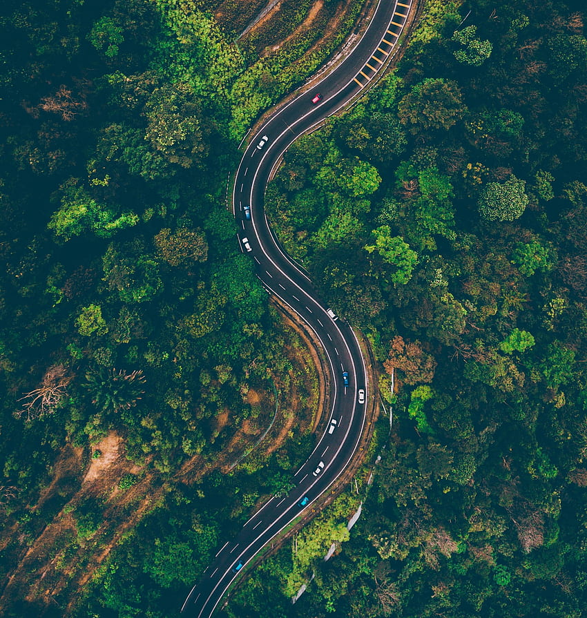 Road, highway, nature, trees, aerial view HD phone wallpaper