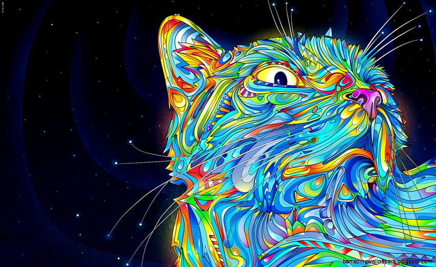 Hipster Cat Tumblr Background, Hipster Galaxy Cat HD wallpaper
