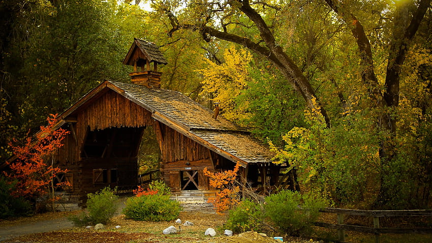 森の中の高精細自然美しい家。 、背景、Tumblrの背景、、、超高解像度の森 高画質の壁紙