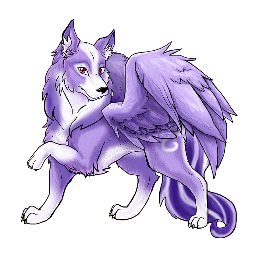 desktop wallpaper purple winged wolf