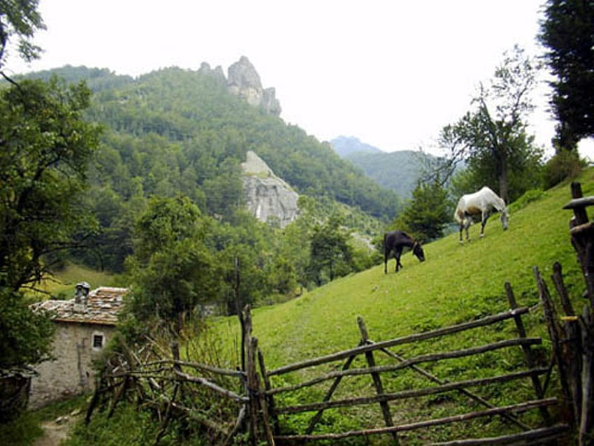Tempat tinggal, kuda, grafik, hijau, bulgaria, gunung Wallpaper HD