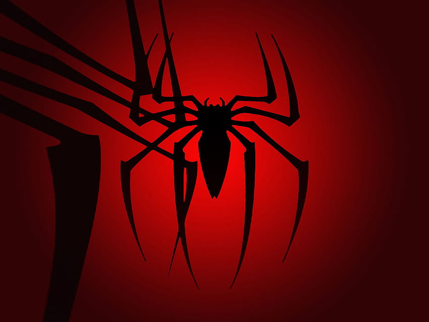 Spinne . Spinnennetz, Rote Spinne HD-Hintergrundbild