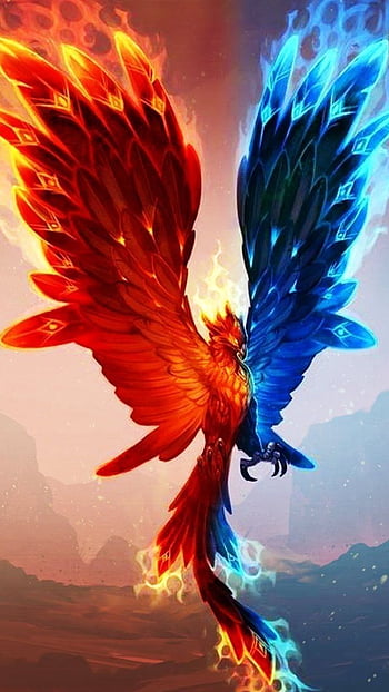 Mythical dragon phoenix phoenix HD wallpapers | Pxfuel