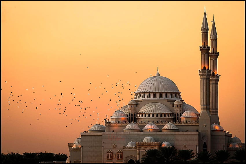 grafi doğa manzara cami mimarisi islam uçan kuşlar gün batımı ışıklar din hindistan HD duvar kağıdı