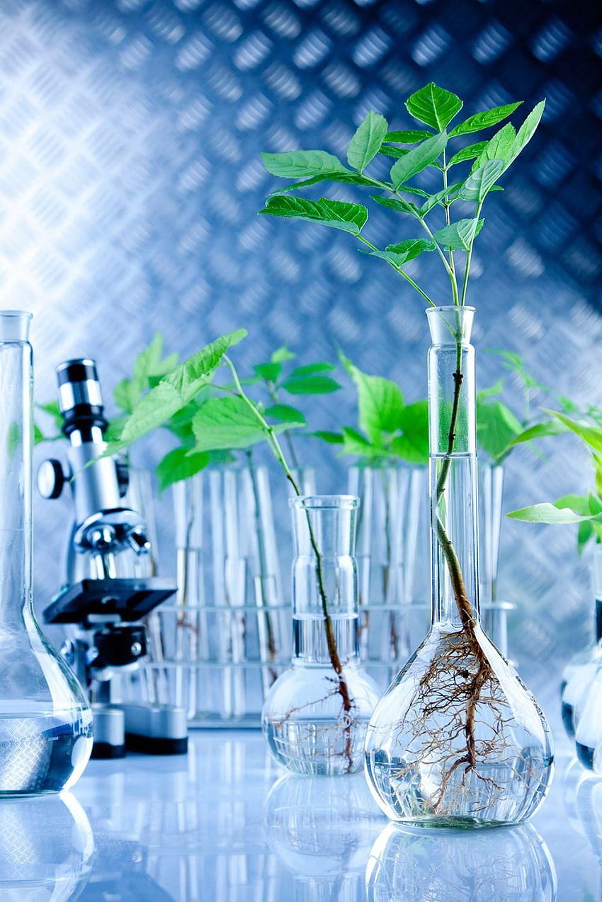 Biotechnology (Page 3), Plant Biotechnology HD phone wallpaper