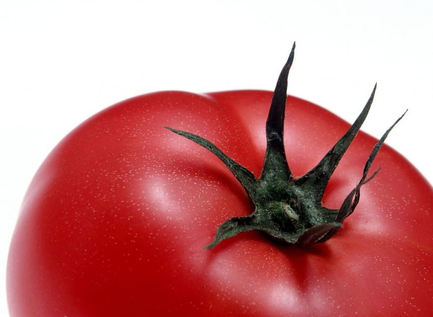 tomato indeed, vegetable, tomato, close up, red HD wallpaper