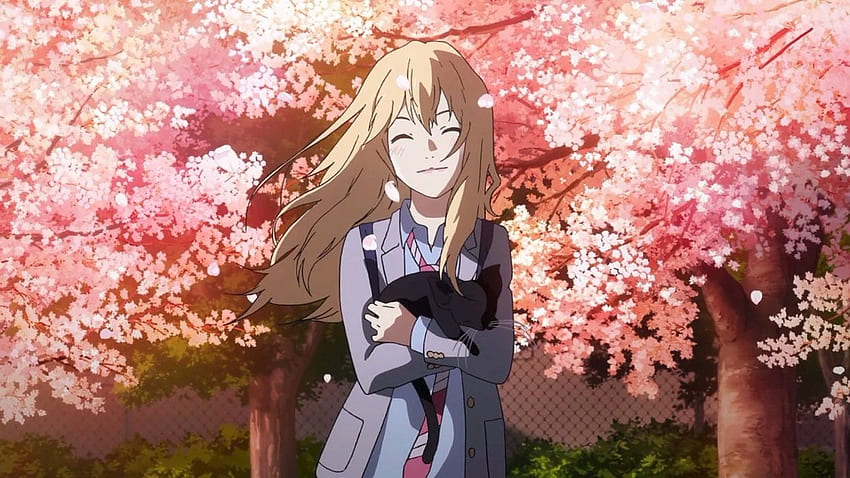 SHIGATSU wa KIMI no USO Arima Kosei Your Lie April Adventure Manga, Your Lie in April Cherry Blossoms HD-Hintergrundbild