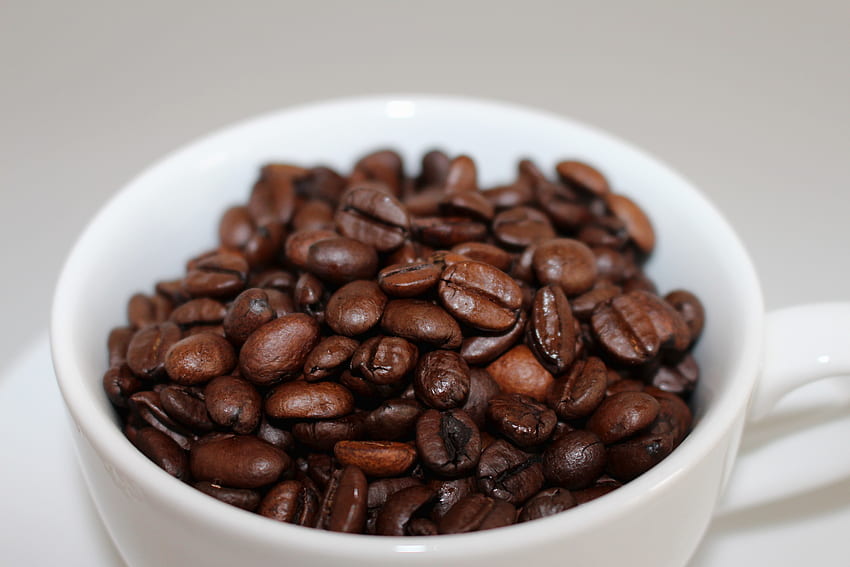 Roasted, coffee beans, cup HD wallpaper