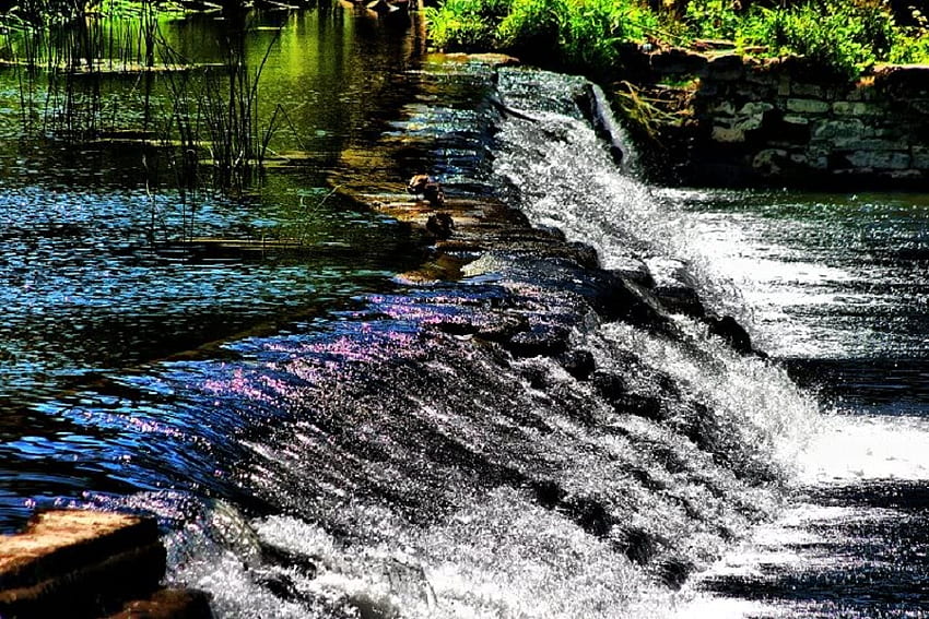 Bathampton Weir Falls, falls, bushes, water, rock HD wallpaper