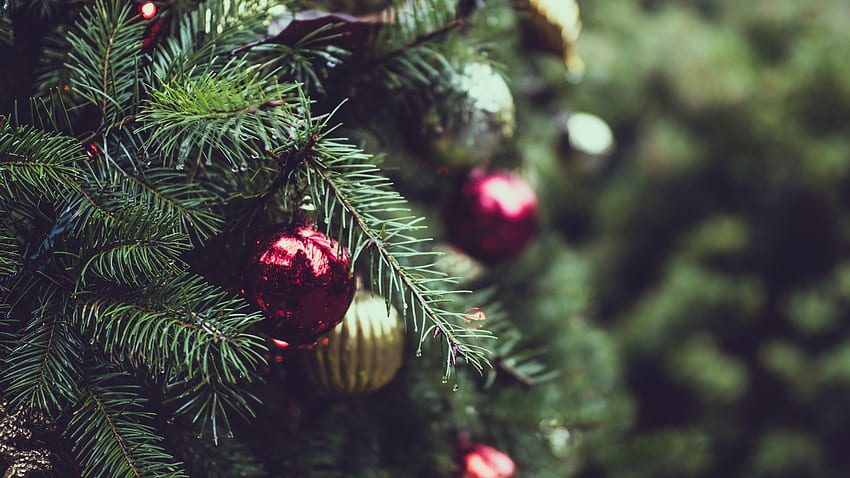 Christmas Tree, Ornaments, Close Up, Blurred, 2560X1440 Christmas HD wallpaper