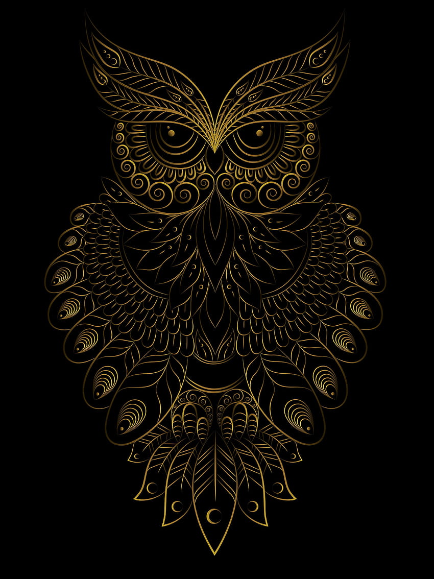 Art, Owl, Bird, Pattern HD phone wallpaper