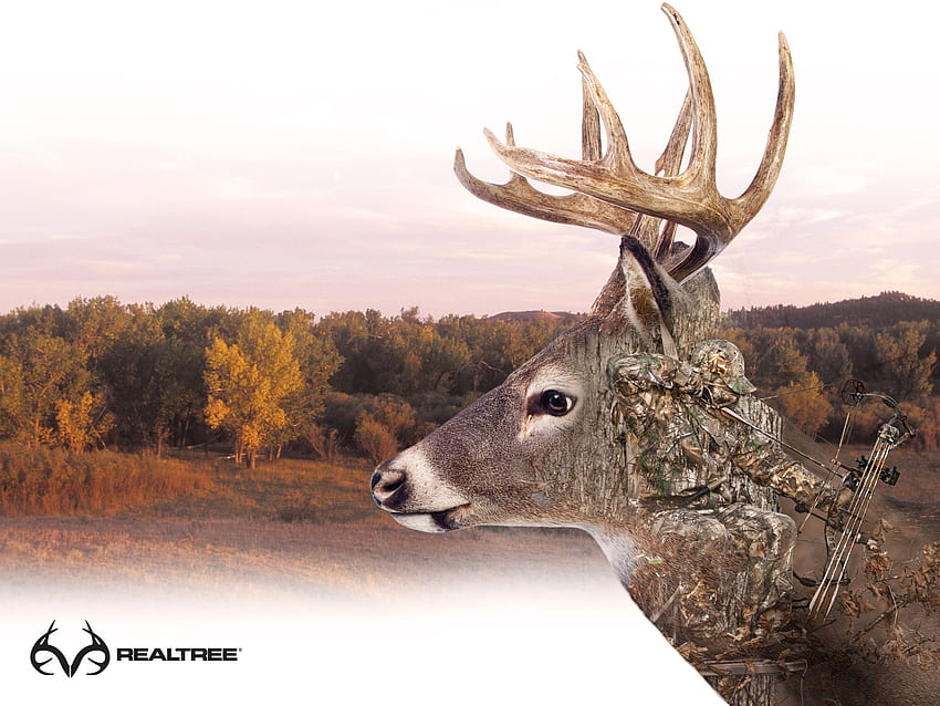 40 Whitetail Deer Wallpaper Screensaver