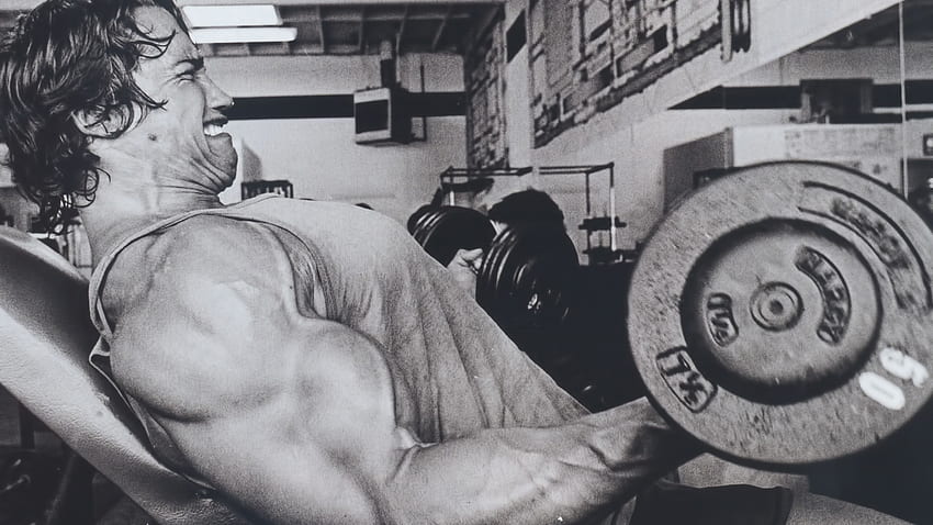 Arnold Schwarzenegger Bodybuilding Pics , Old School Bodybuilding HD wallpaper