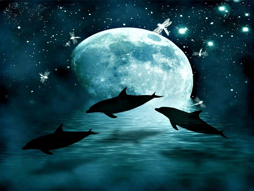 Dolphin 月、夜、星、イルカ、月、イルカ、ジャンプ、水、海、ジャンプ 高画質の壁紙