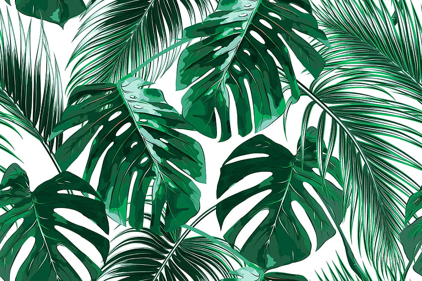 Joana Removable Tropical Palm Leaves 7.92' L x 150 W Peel and Stick Roll, Leaves Aesthetic HD wallpaper