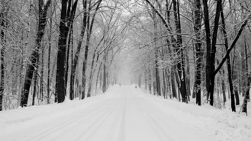 Snow winter road forest wayfarer umbrella Indices . . 520246 HD wallpaper