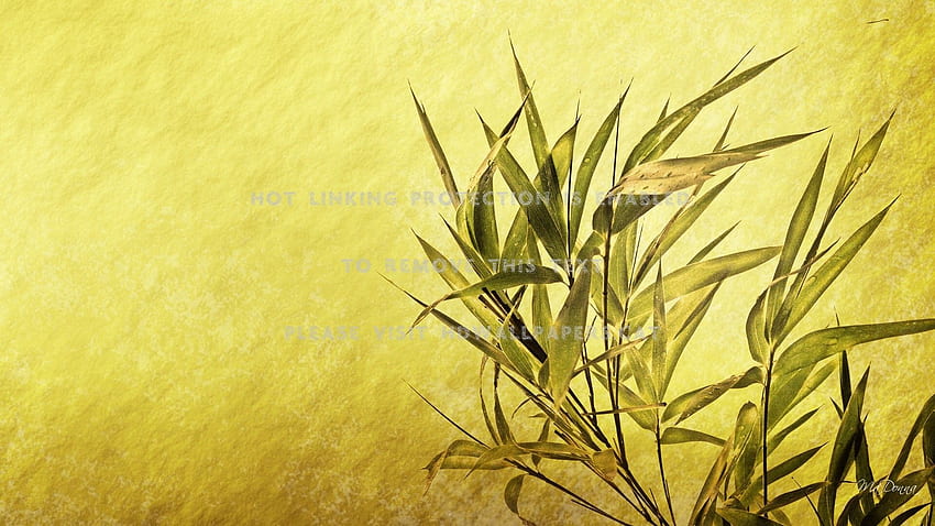 Simple bamboo neutral gold oriental natural HD wallpaper | Pxfuel