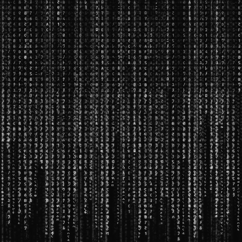 Matrix Dokusu Film Deseni Arka Plan Bw Koyu, Siyah Matrix HD telefon duvar kağıdı