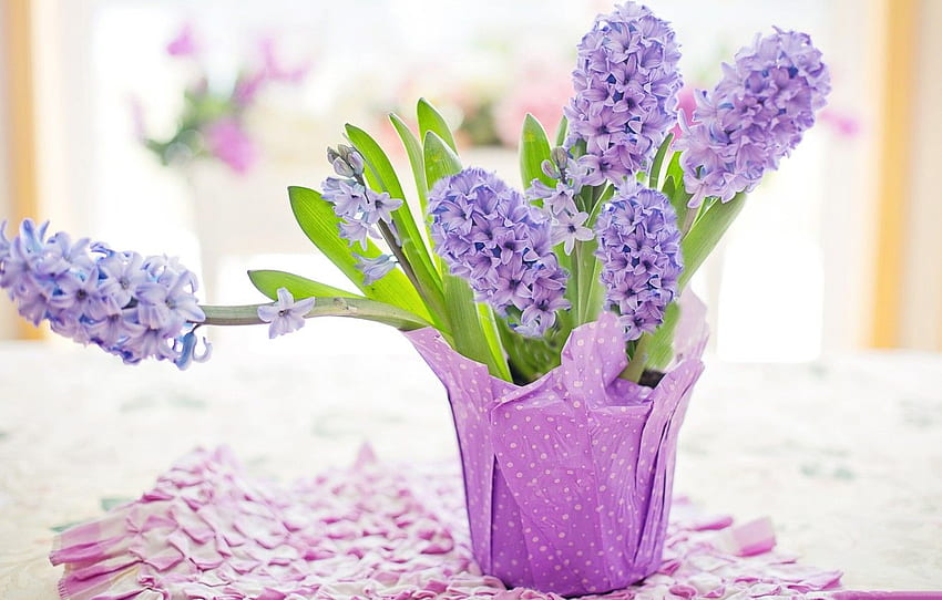 kwiaty, bukiet, Wielkanoc, hiacynt na , sekcja цветы Tapeta HD