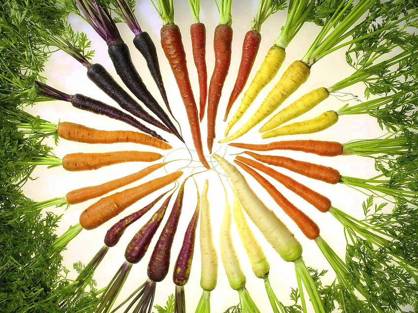 Carrot, color, fruits, food, berryes HD wallpaper