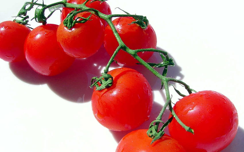 Food, Branch, Tomato, Vegetable HD wallpaper