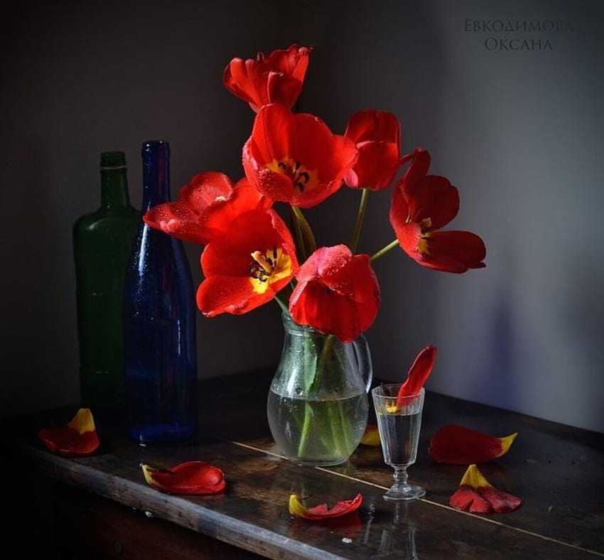 Still life, graphy, Tulips, Red, Petals HD wallpaper