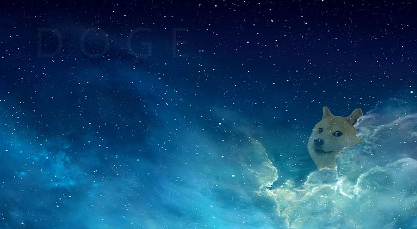 Doge, Space Dog HD wallpaper | Pxfuel