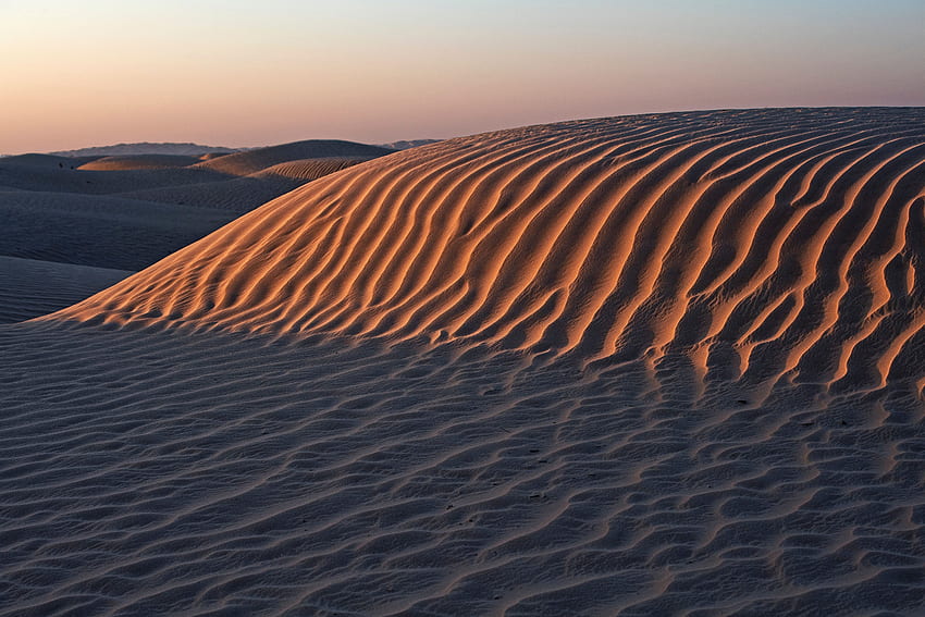 Landscape, Nature, Sand, Desert, Hills, Dunes, Links HD wallpaper