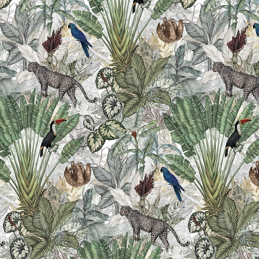 Jungle – Jimmy Cricket, Rainforest Animals HD phone wallpaper | Pxfuel