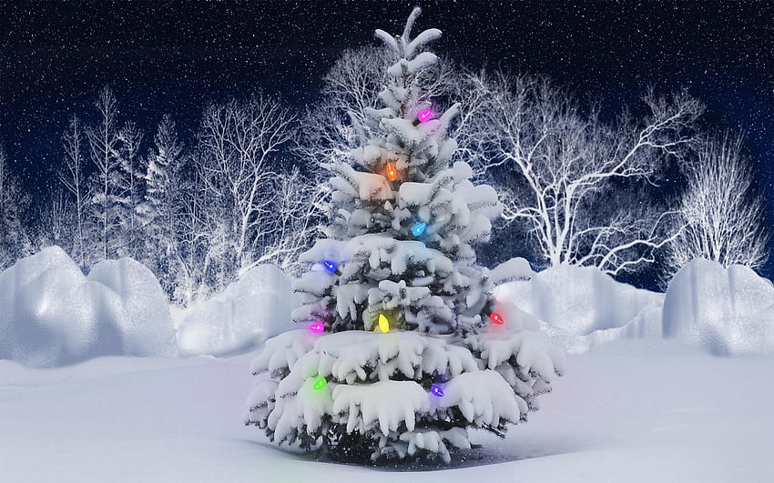 Liburan, Tahun Baru, Pohon Cemara Wallpaper HD