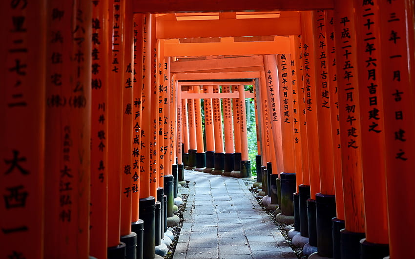 Torii Gate Japan, design, torii, japan, gate HD wallpaper